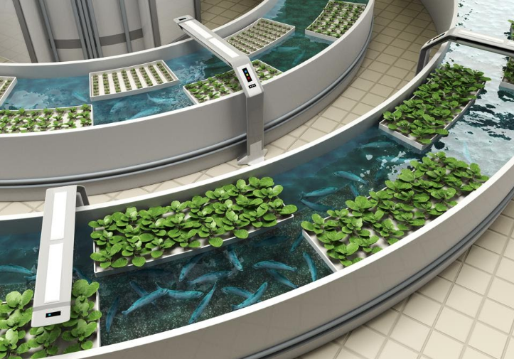 Utopia Aquaponics